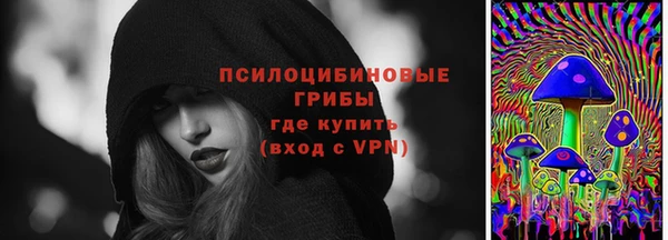 ПСИЛОЦИБИНОВЫЕ ГРИБЫ Алзамай