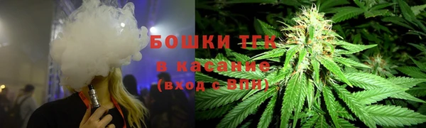 прущие грибы Алексеевка