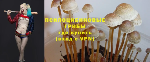ПСИЛОЦИБИНОВЫЕ ГРИБЫ Алзамай