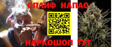 mdma Можга