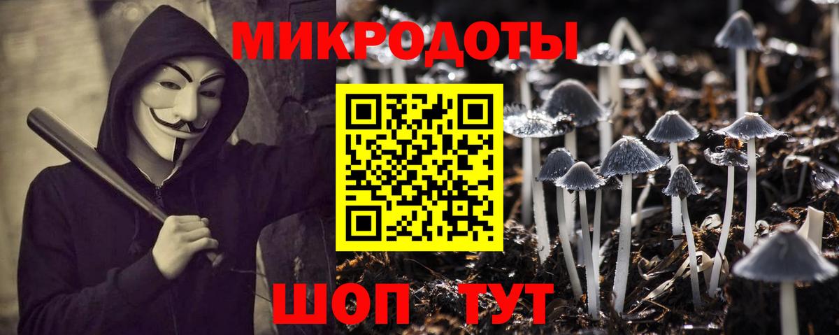 Псилоцибиновые грибы Psilocybine cubensis Еманжелинск