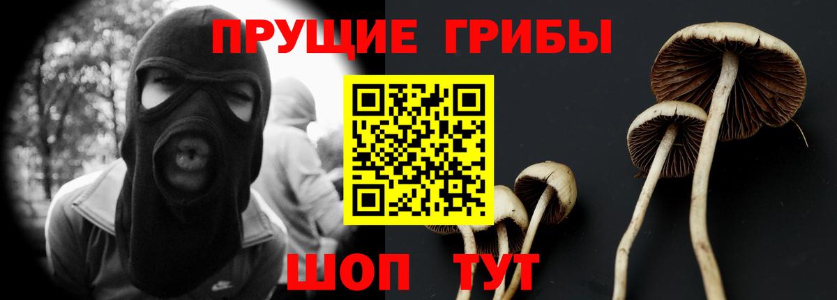 Псилоцибиновые грибы прущие грибы  где купить наркотик  Еманжелинск  Вход с VPN 